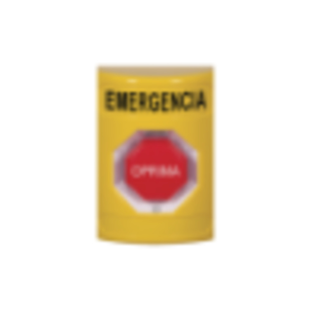SS2-209-EM-ES